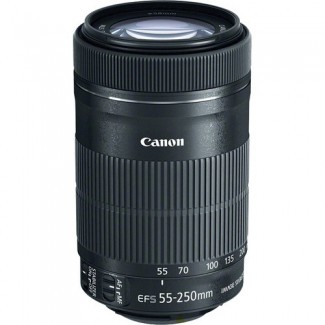 Canon EF-S 55-250mm F/4-5.6 IS STM Lens -2686